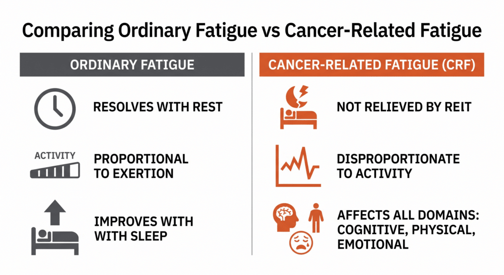 Ordinary Fatigue vs Cancer Related Fatigue